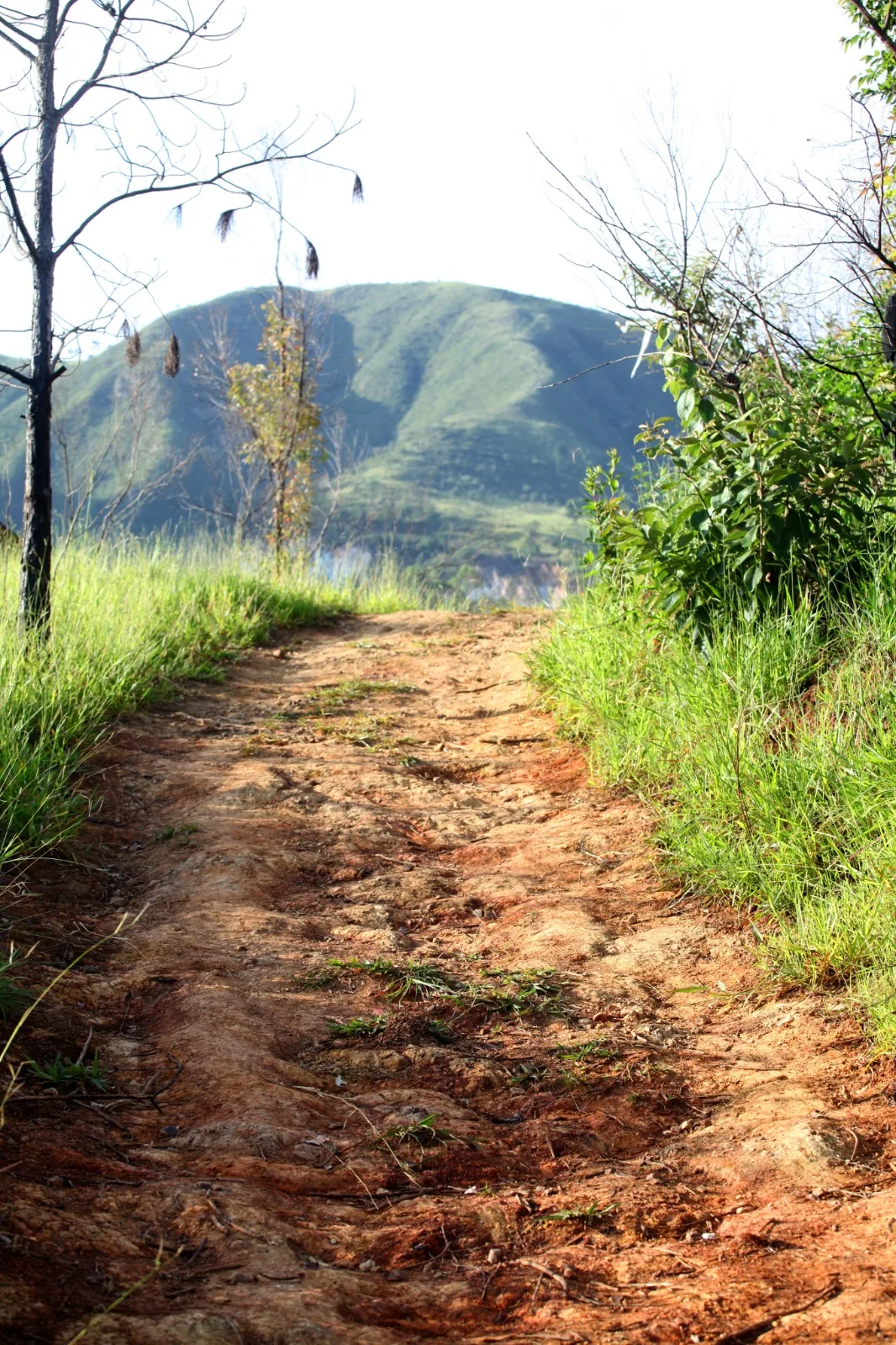 Trilha de terra na Serra do Voturuna